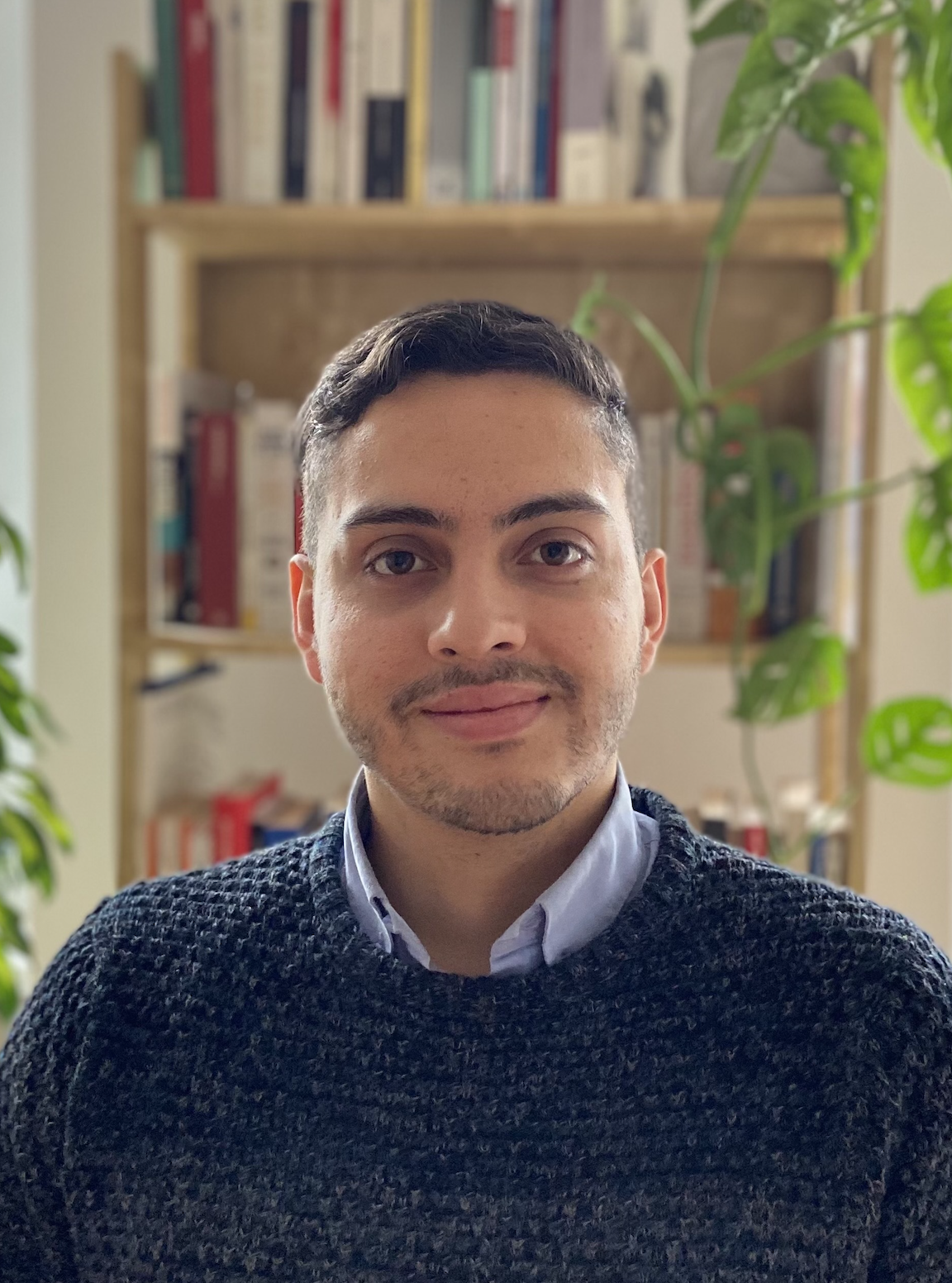 Sebastian Ramirez Ruiz